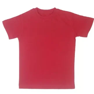 3-14 Years Red Color T-shirt for Boys ( FO-BT-040-F ) for sale online in Pakistan from factoryoutlet.pk